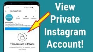 Instagram private account viewer