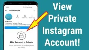 Instagram private account viewer