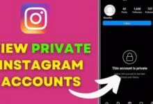 Instagram private account viewer