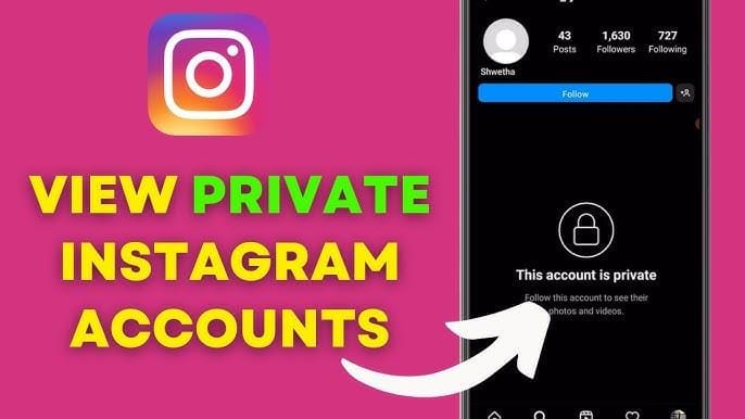 Instagram private account viewer