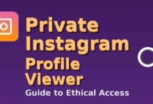 private instagram profile viewer