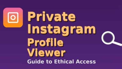 private instagram profile viewer
