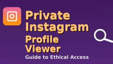 private instagram profile viewer