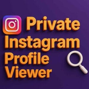 private instagram profile viewer