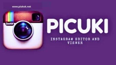 Picuki View Instagram Profiles Easily and Privately