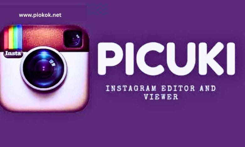 Picuki View Instagram Profiles Easily and Privately