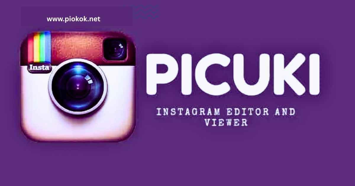 Picuki View Instagram Profiles Easily and Privately