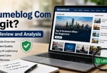 Is Brumeblog Com Legit? Full Review and Analysis